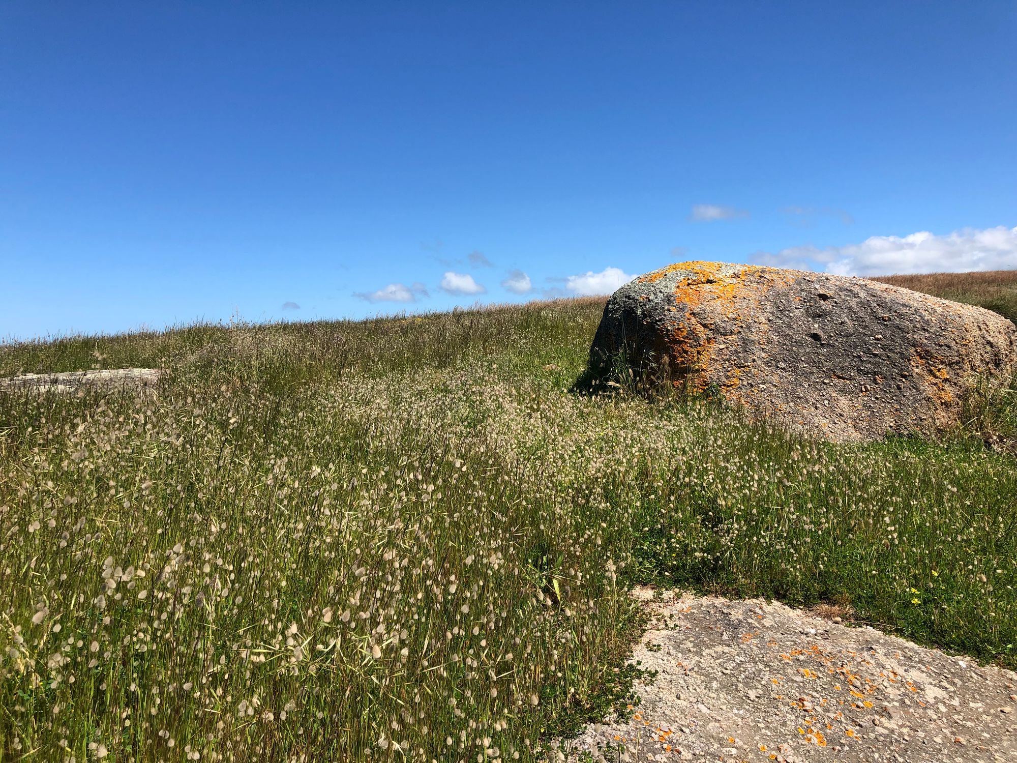 Granite island, victor harbor South Australia