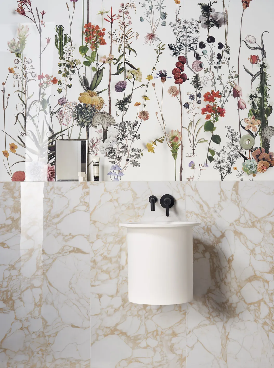 Photosynthesis not required