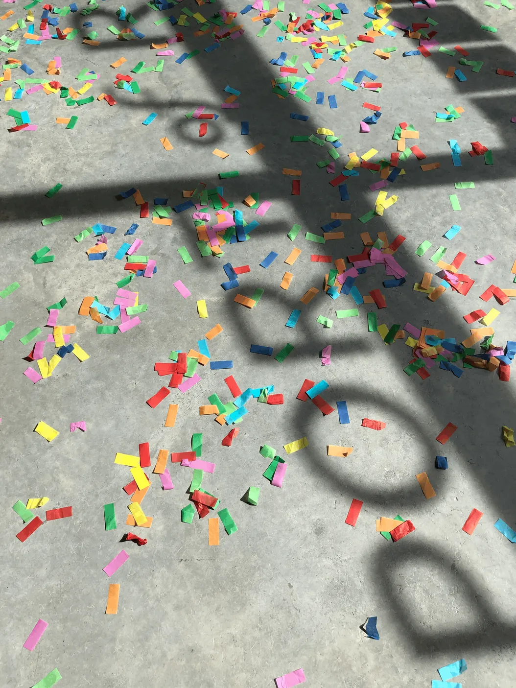 Experience Our Everyday