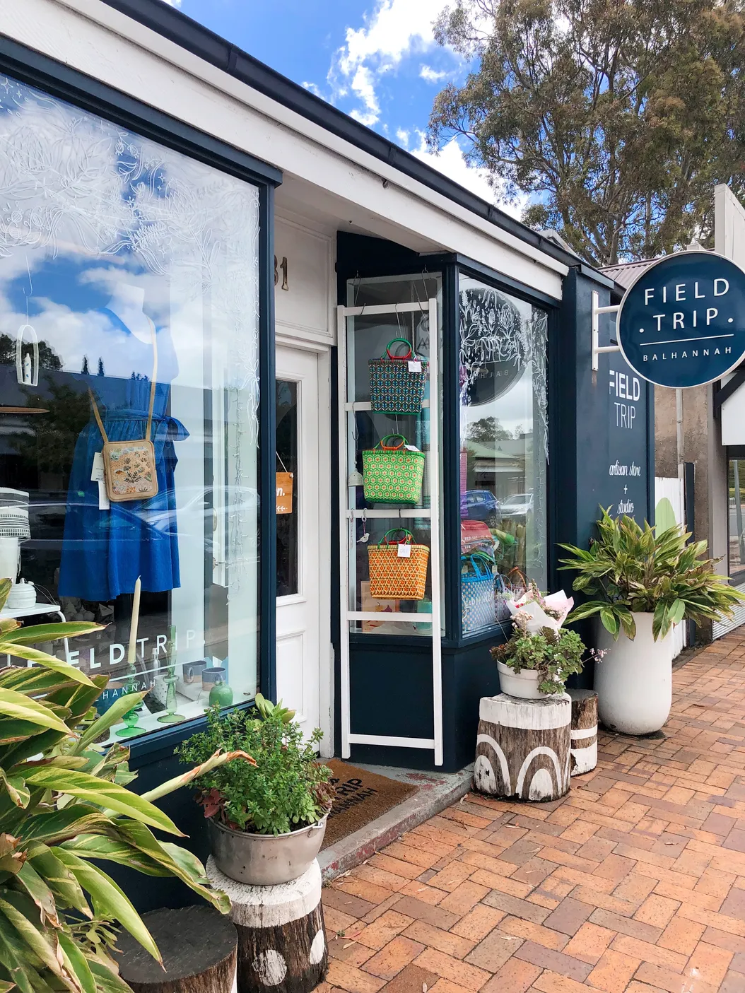 Shopfront seedlings