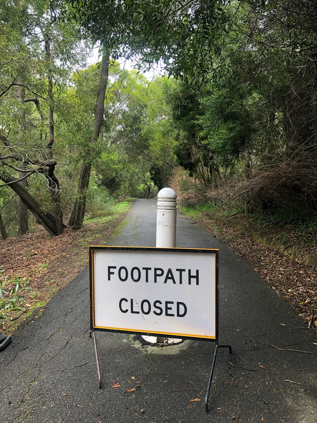 I saw the sign, and walked right past it