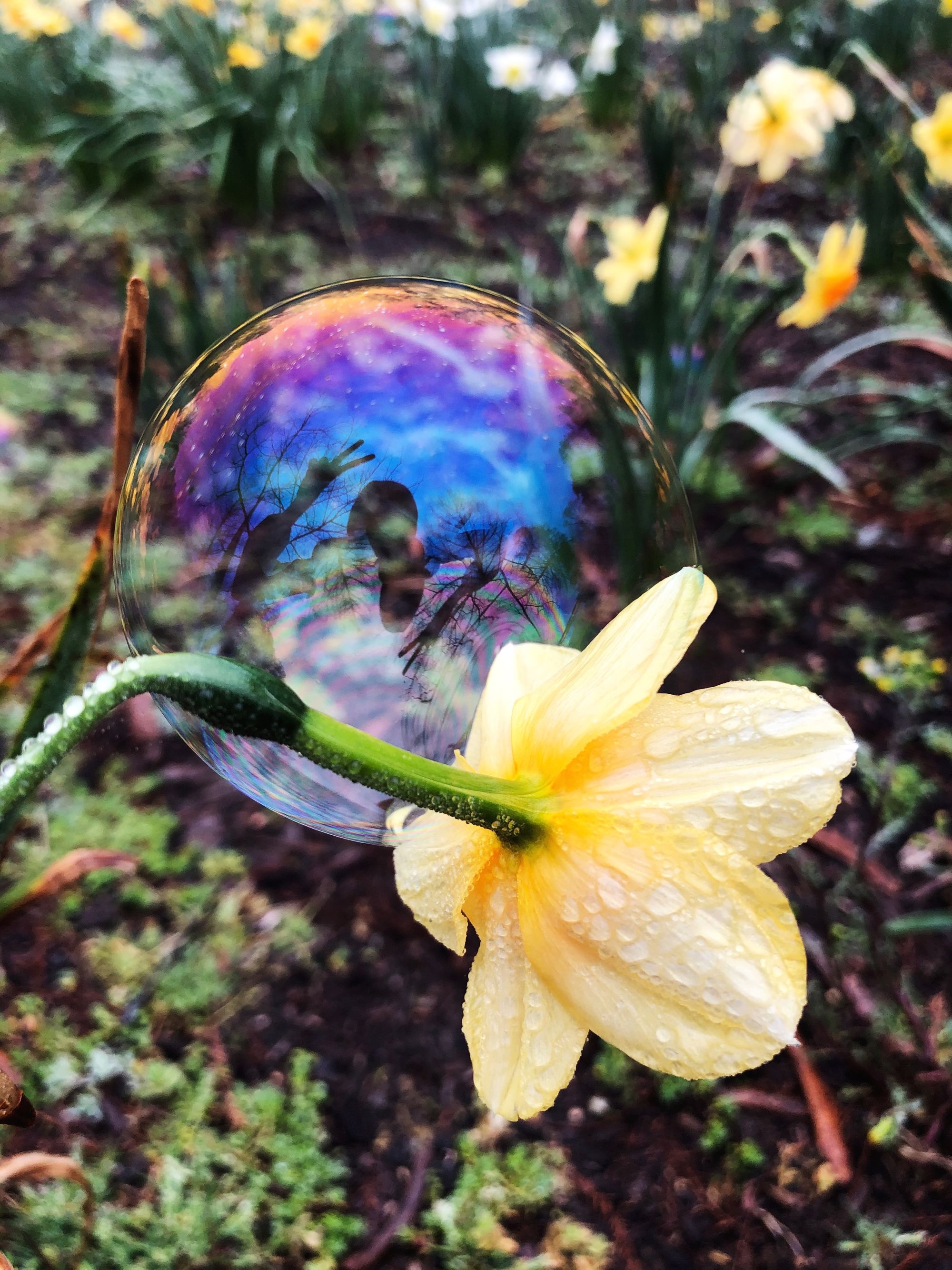 A bed of bubbles