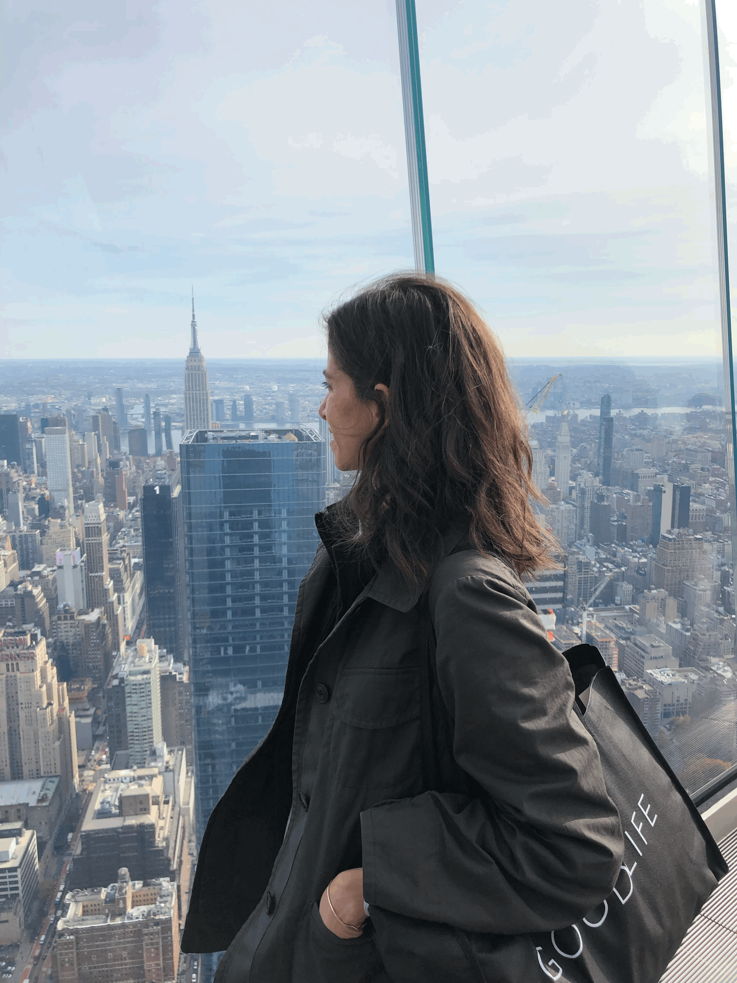 New New York